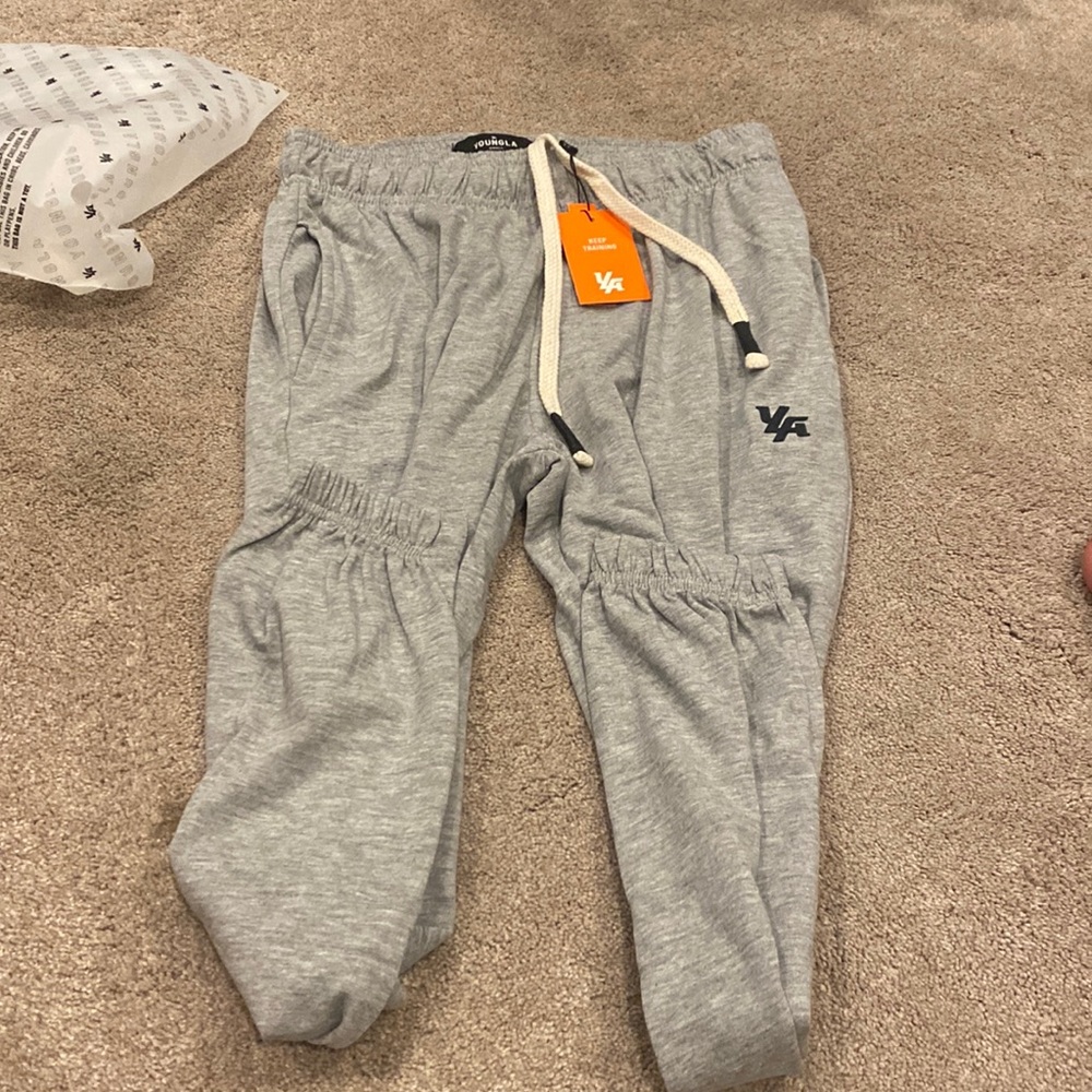 YOUNG LA pump cover joggers. gray. size small. brand new never worn with tags
